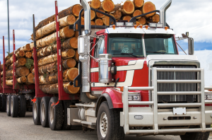 Importance of Proper Load Securement